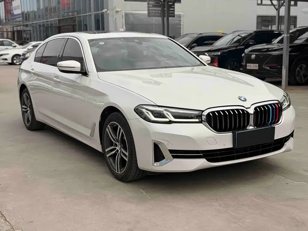 BMW 5 Series 2023 из CN, фото 9