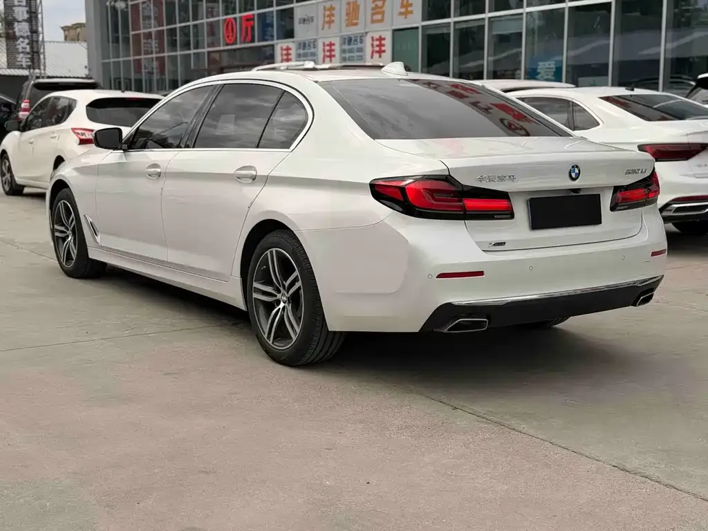 BMW 5 Series 2023 из CN, фото 8