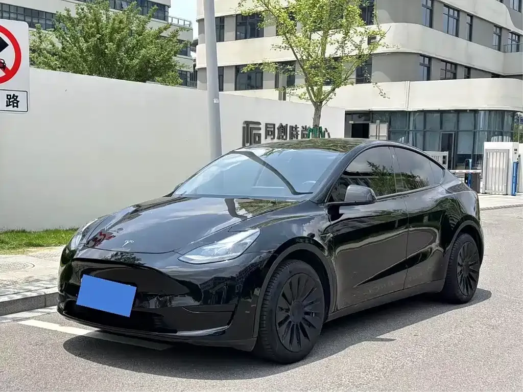 Tesla Model Y — фото 1