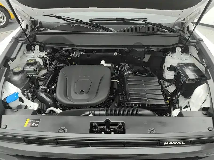 Haval Menglong New Energy 2024 из CN, фото 7