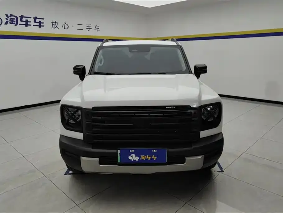 Haval Menglong New Energy 2024 из CN, фото 10