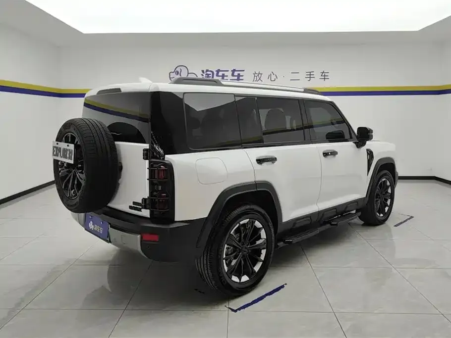 Haval Menglong New Energy 2024 из CN, фото 4