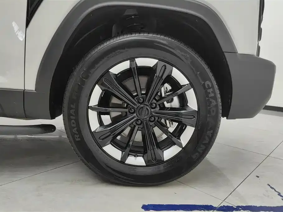 Haval Menglong New Energy 2024 из CN, фото 5