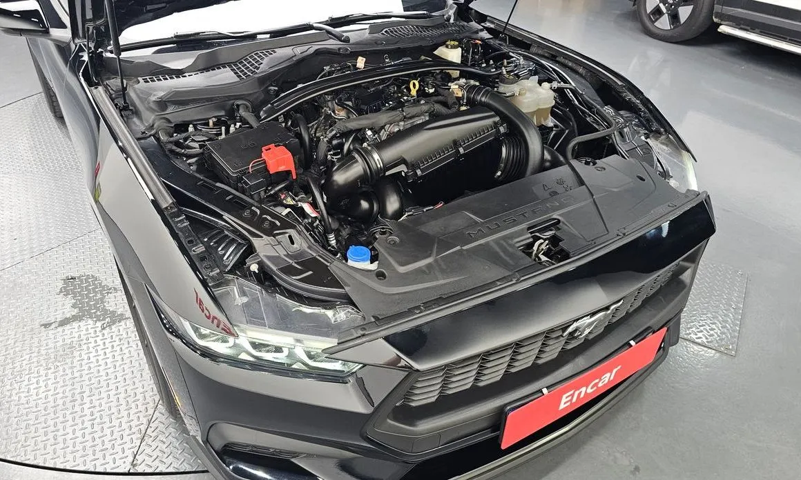 Ford Mustang 2024 из KR, фото 10