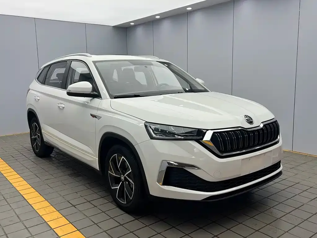 Skoda Kamiq — фото 6