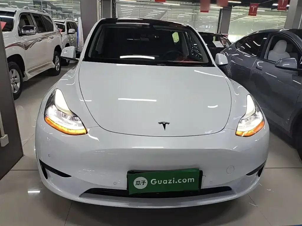 Tesla Model Y — фото 2