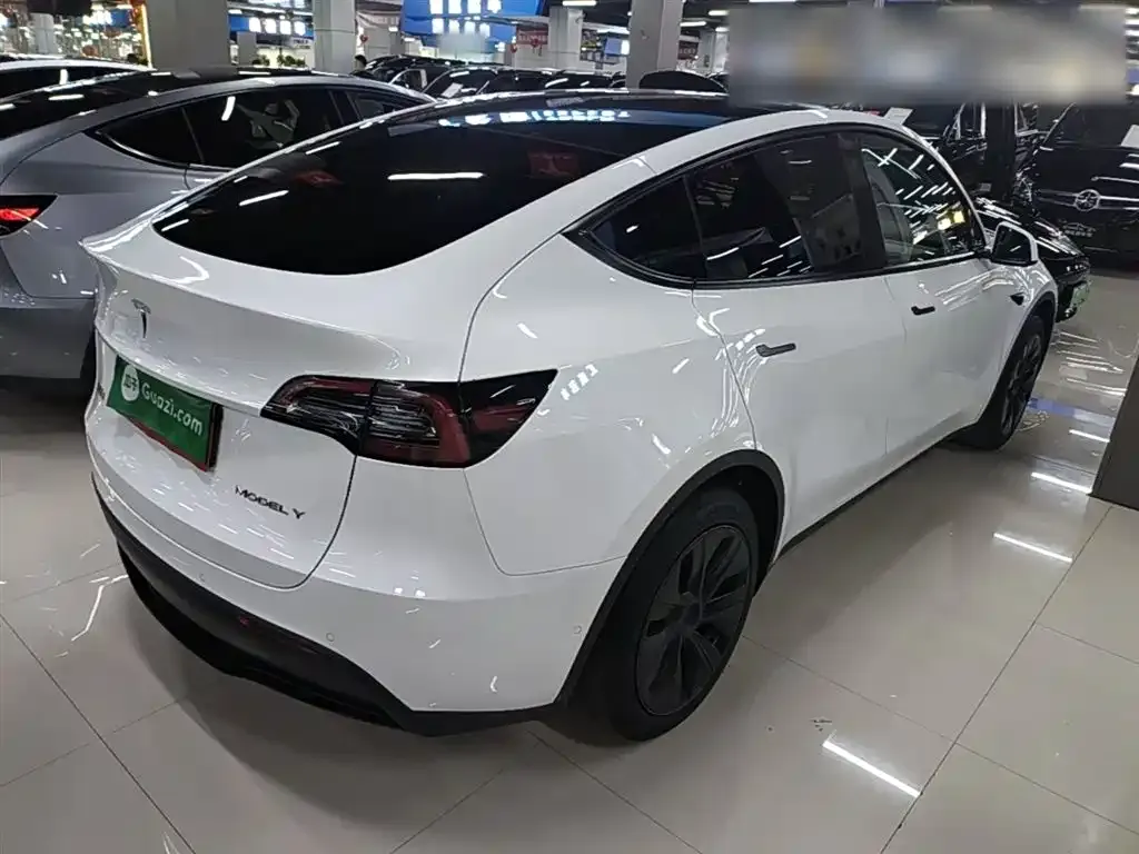 Tesla Model Y — фото 3