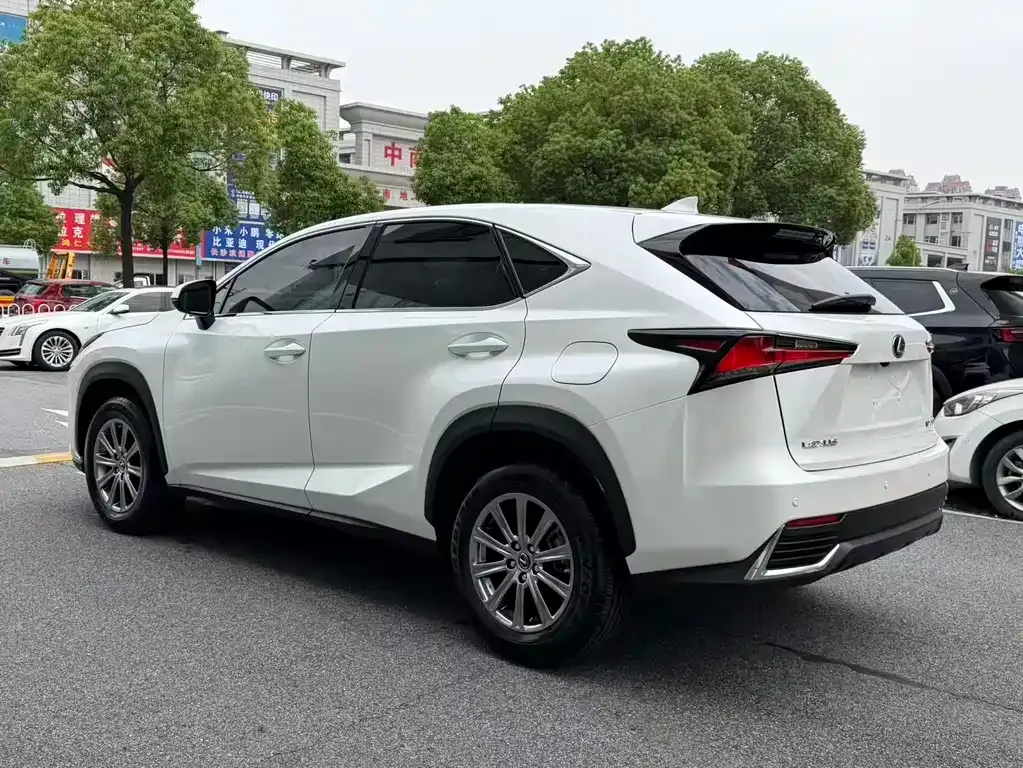 Lexus NX 2021 из CN, фото 7