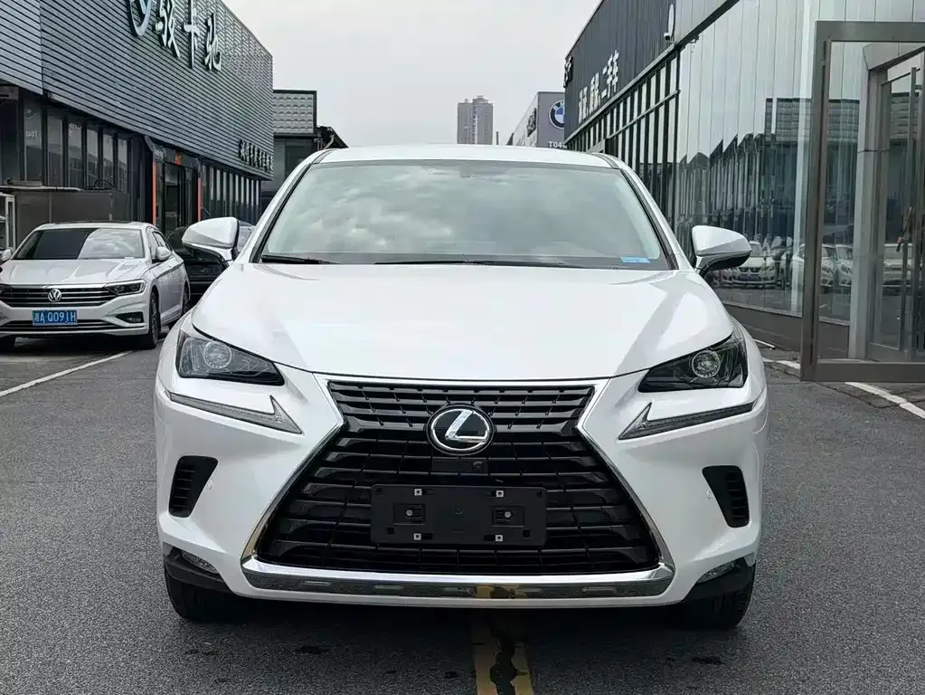Lexus NX 2021 из CN, фото 9