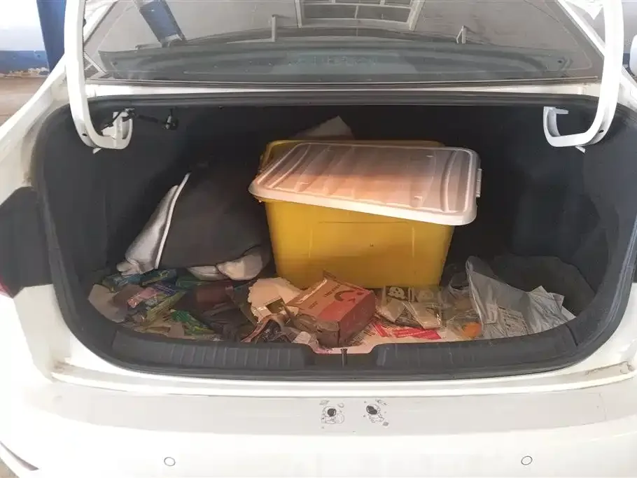 Volkswagen Sagitar 2021 из CN, фото 5