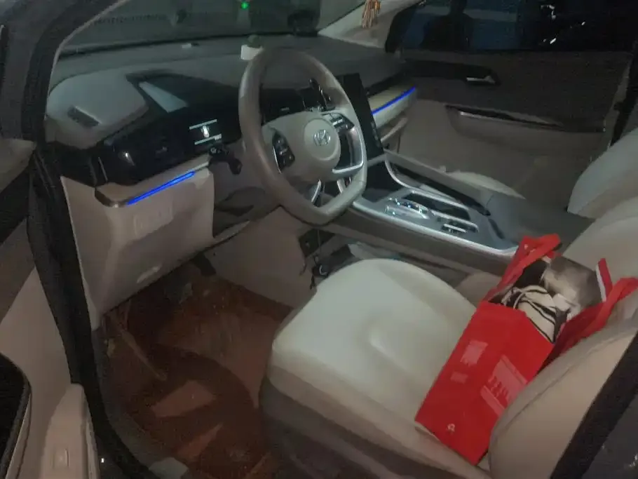 Hyundai Custo — фото 10