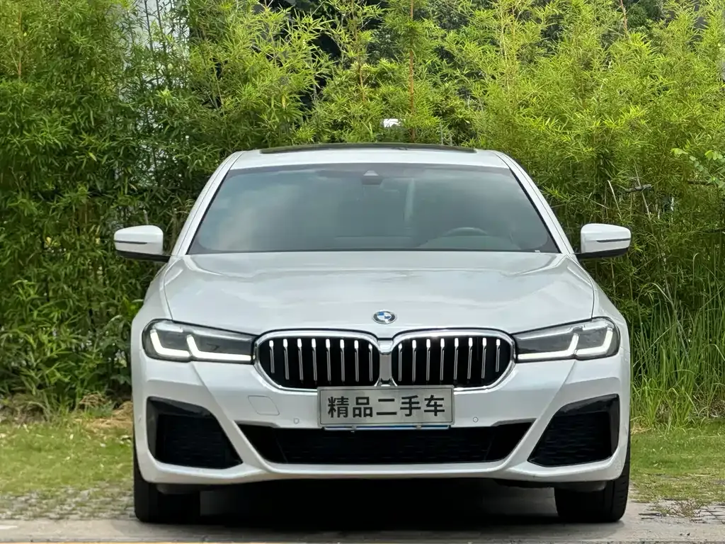 BMW 5 Series — фото 10
