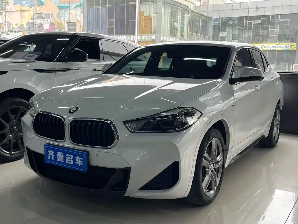BMW X2 2021 из CN, фото 4