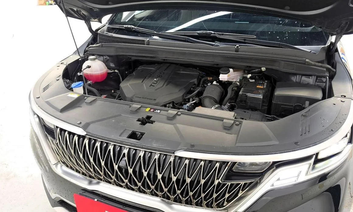 Kia Carnival — фото 10