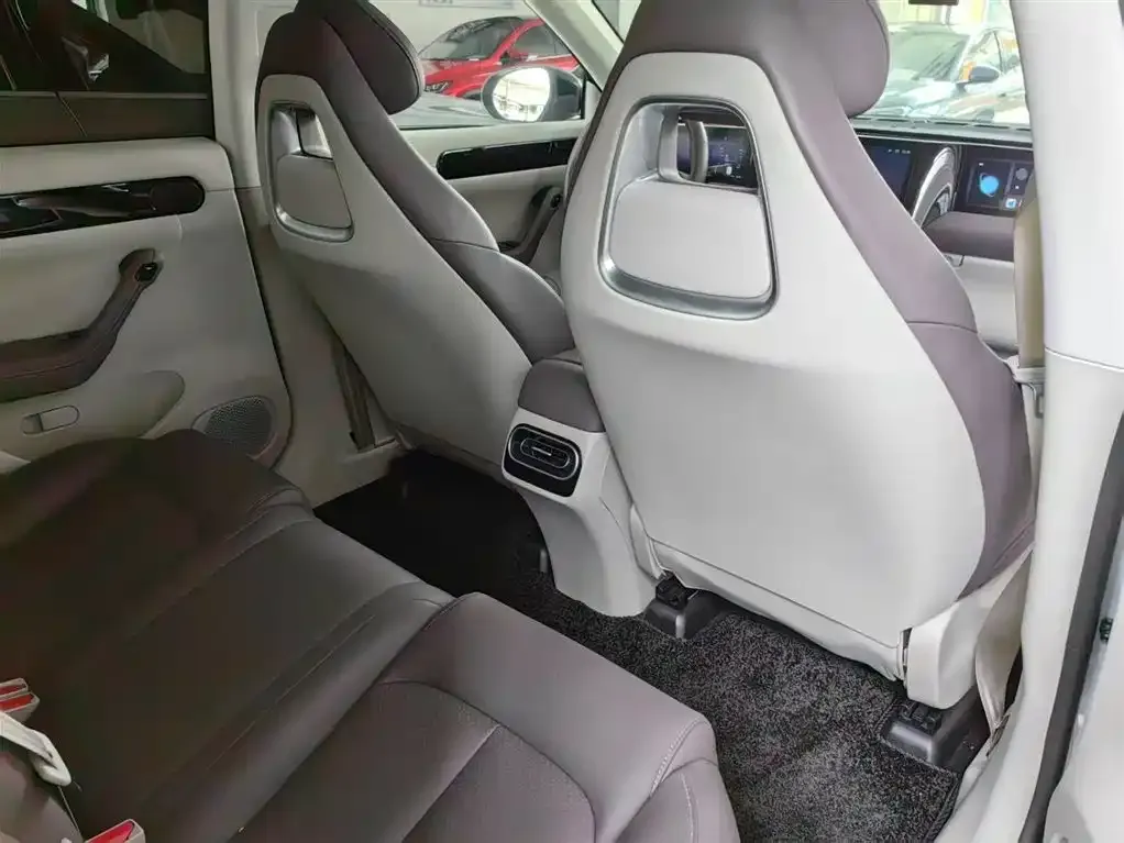 Leapmotor C11 2023 из CN, фото 2