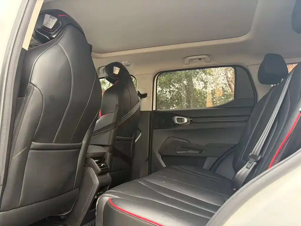 Haval Cool Dog 2023 из CN, фото 5