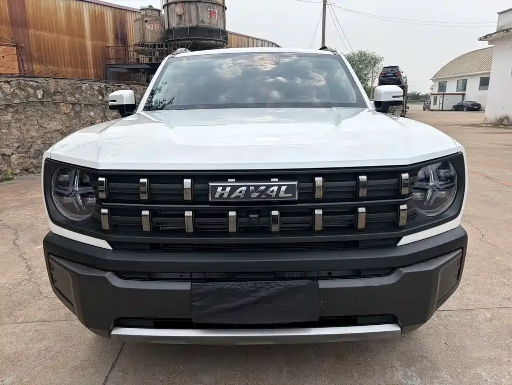Haval Cool Dog 2023 из CN, фото 6