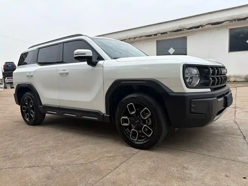 Haval Cool Dog 2023 из CN, фото 9
