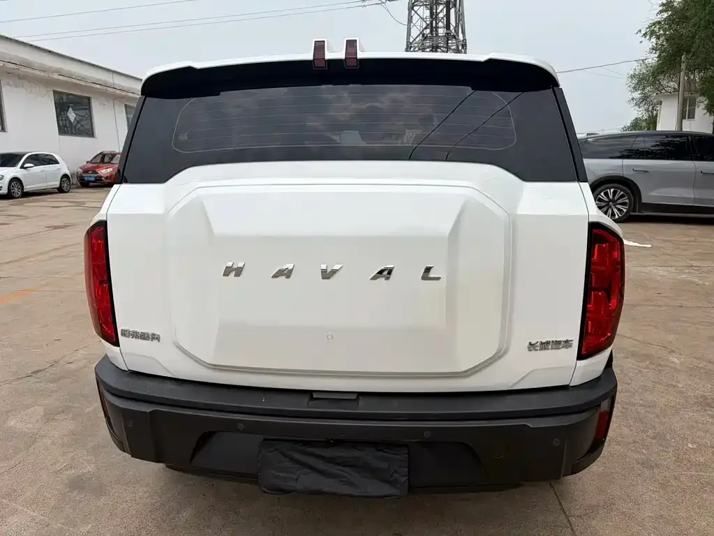 Haval Cool Dog 2023 из CN, фото 3