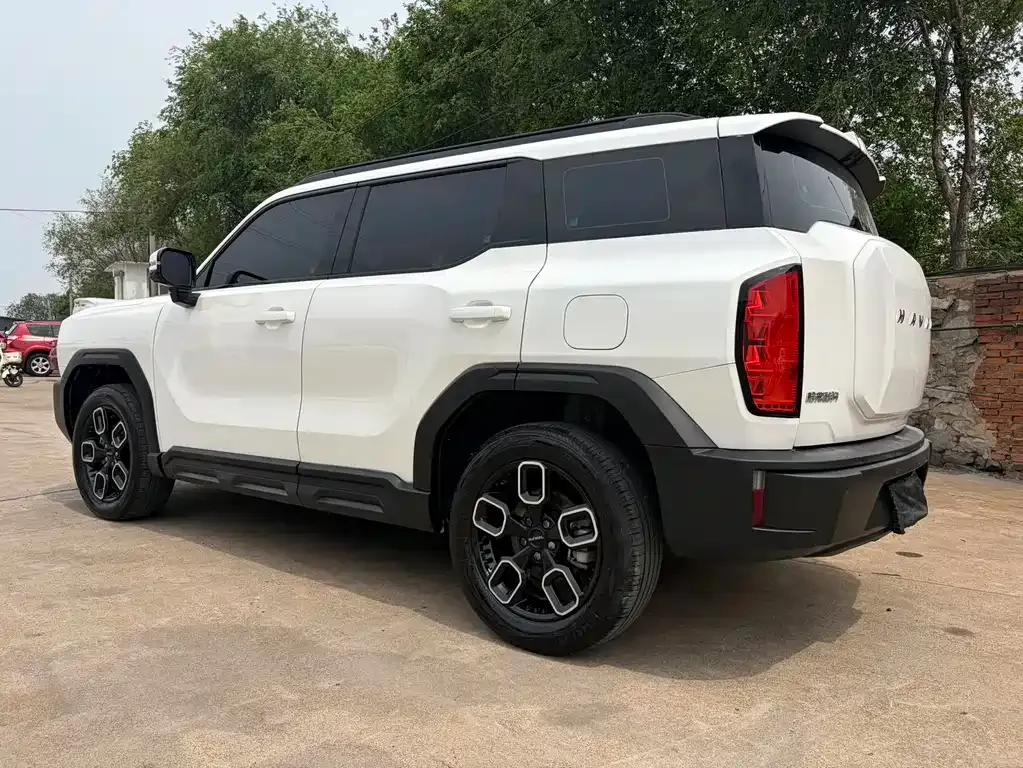 Haval Cool Dog 2023 из CN, фото 7