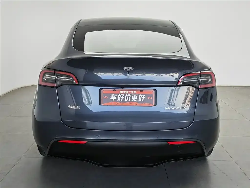 Tesla Model Y — фото 2