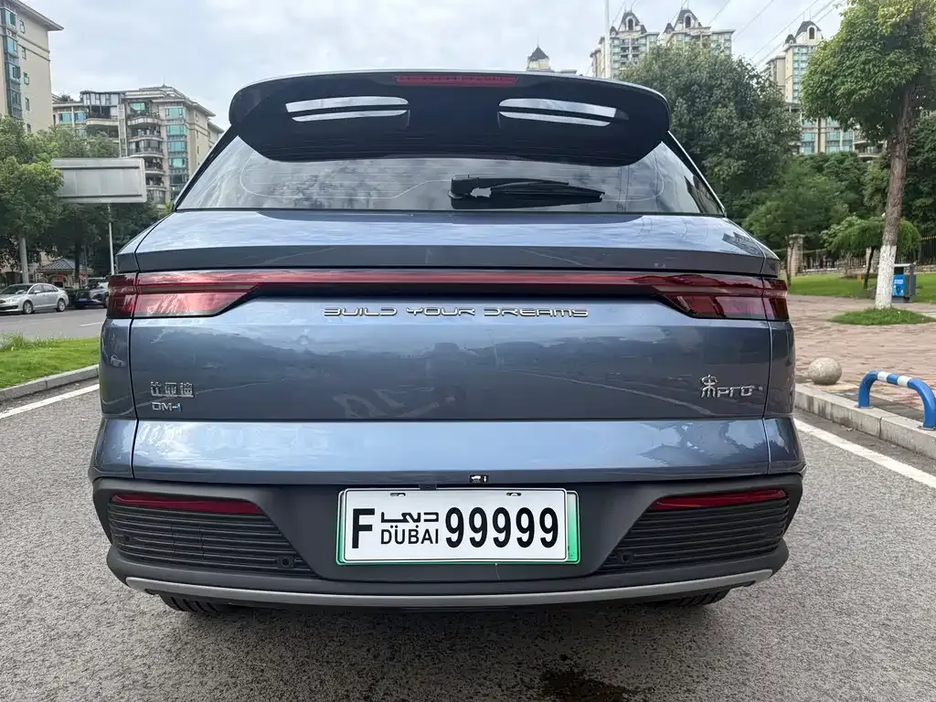 BYD Pro New Energy 2024 из CN, фото 5