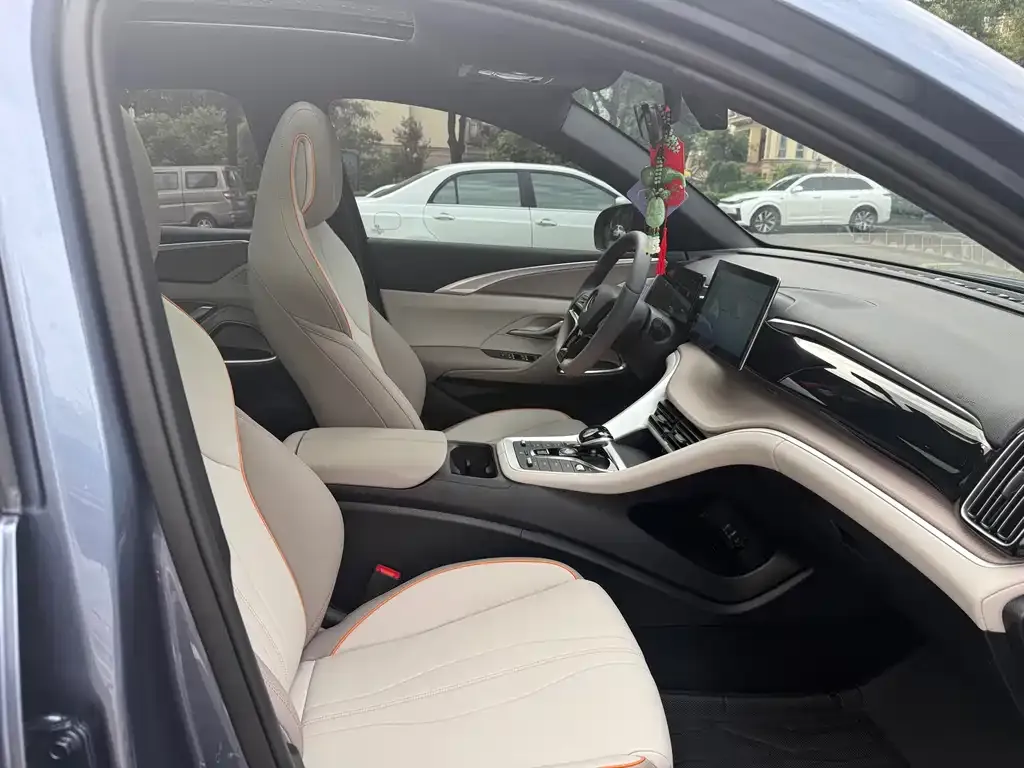 BYD Pro New Energy 2024 из CN, фото 2