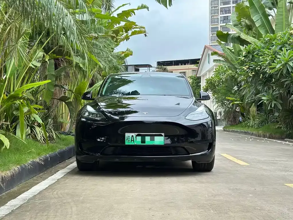 Tesla Model Y — фото 10