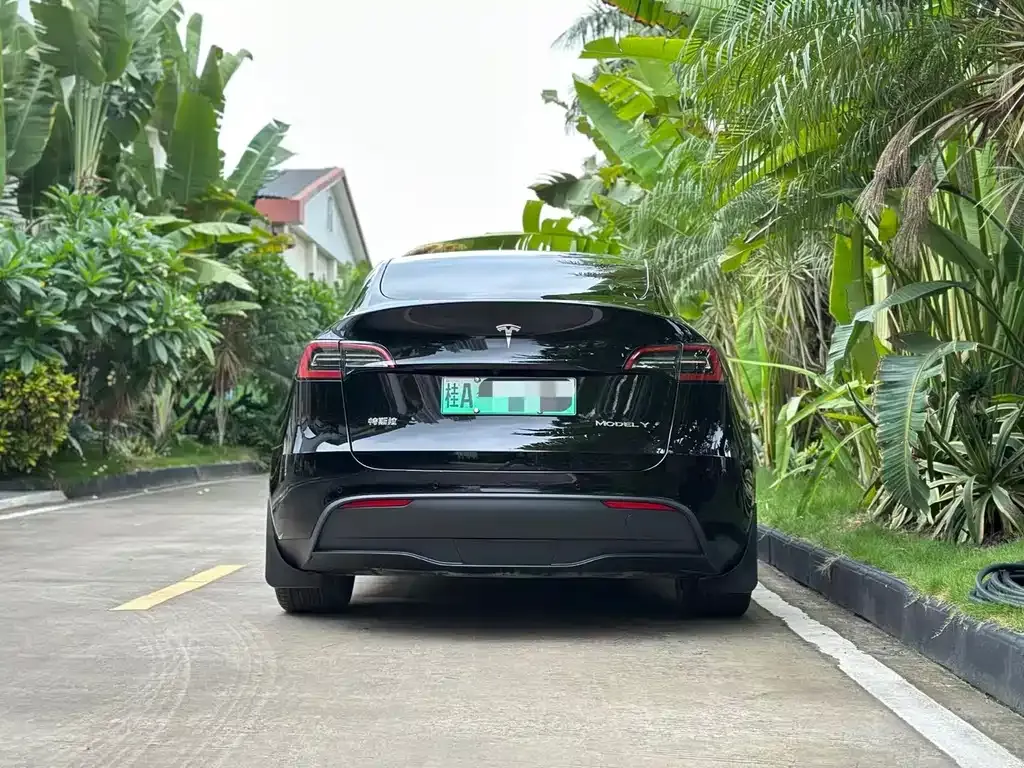 Tesla Model Y — фото 2