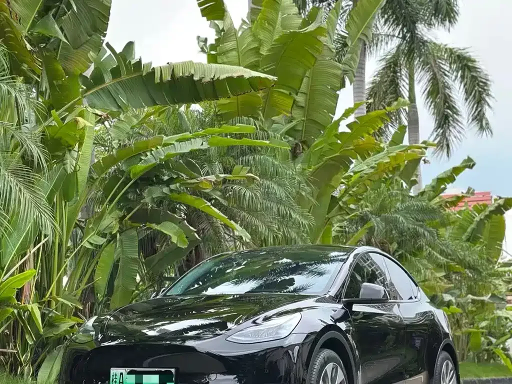 Tesla Model Y — фото 6