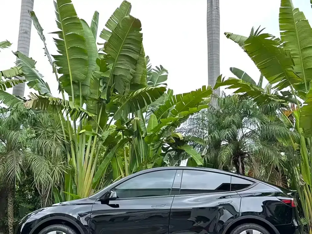 Tesla Model Y — фото 5