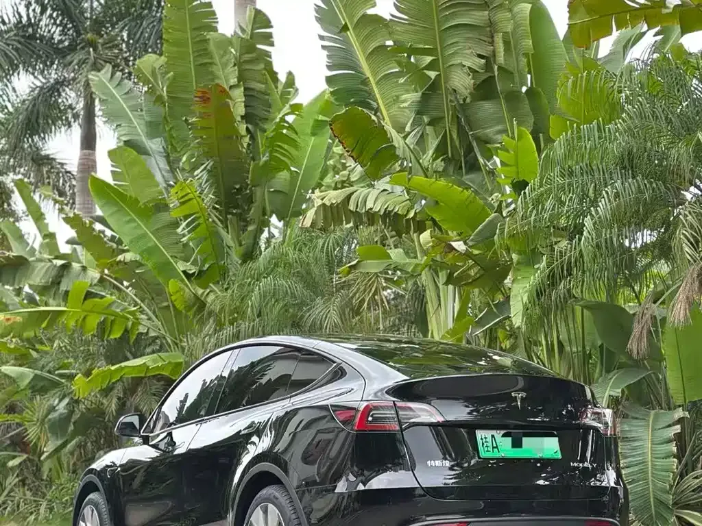 Tesla Model Y — фото 8