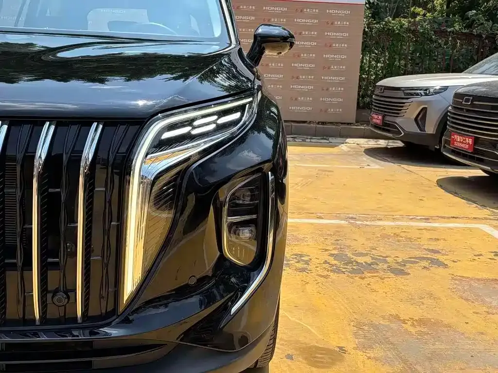 Hongqi HS7 PHEV 2024 из CN, фото 9
