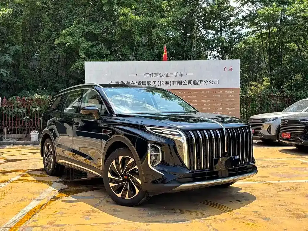 Hongqi HS7 PHEV 2024 из CN, фото 8
