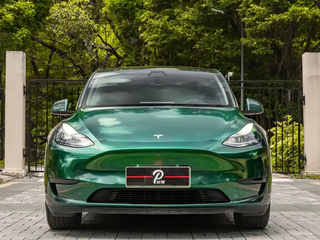 Tesla Model Y — фото 9