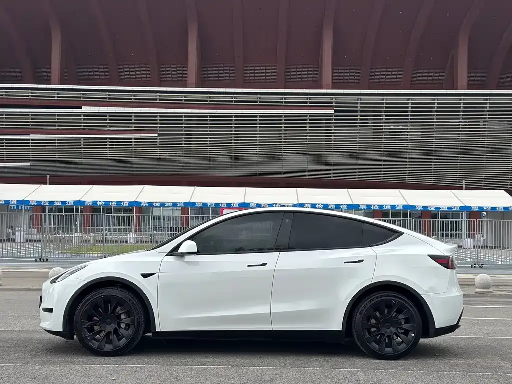 Tesla Model Y — фото 10