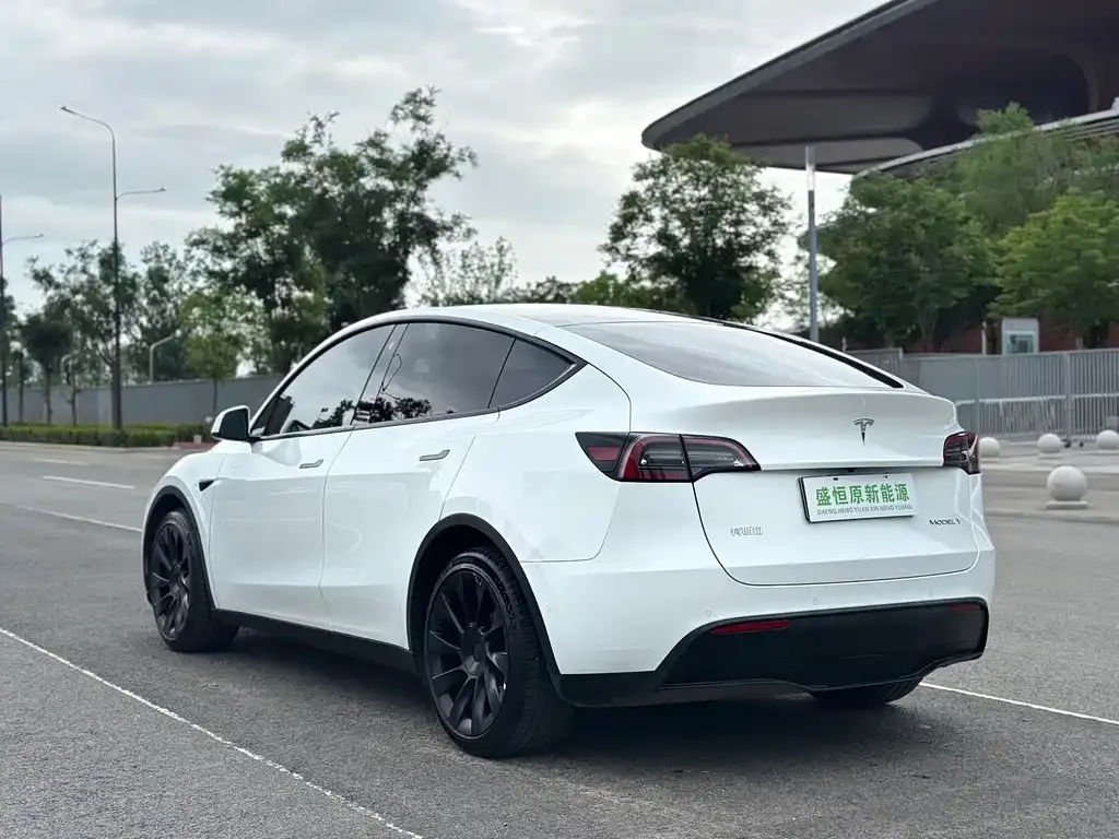 Tesla Model Y — фото 7