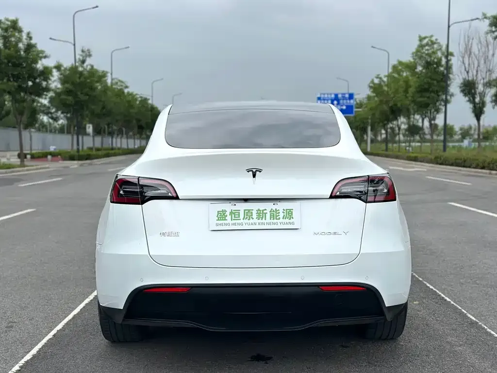 Tesla Model Y — фото 5