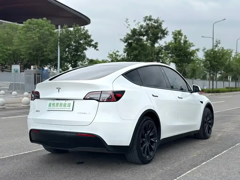 Tesla Model Y — фото 8