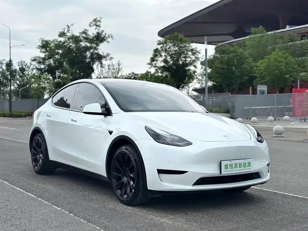 Tesla Model Y — фото 6