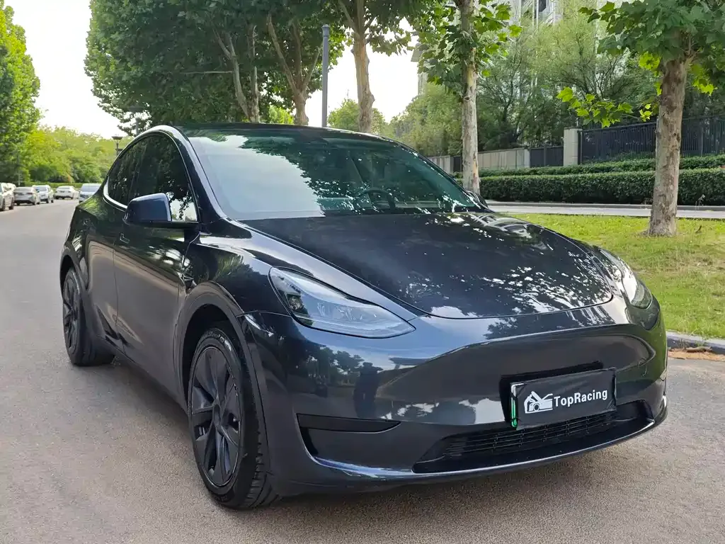 Tesla Model Y — фото 5