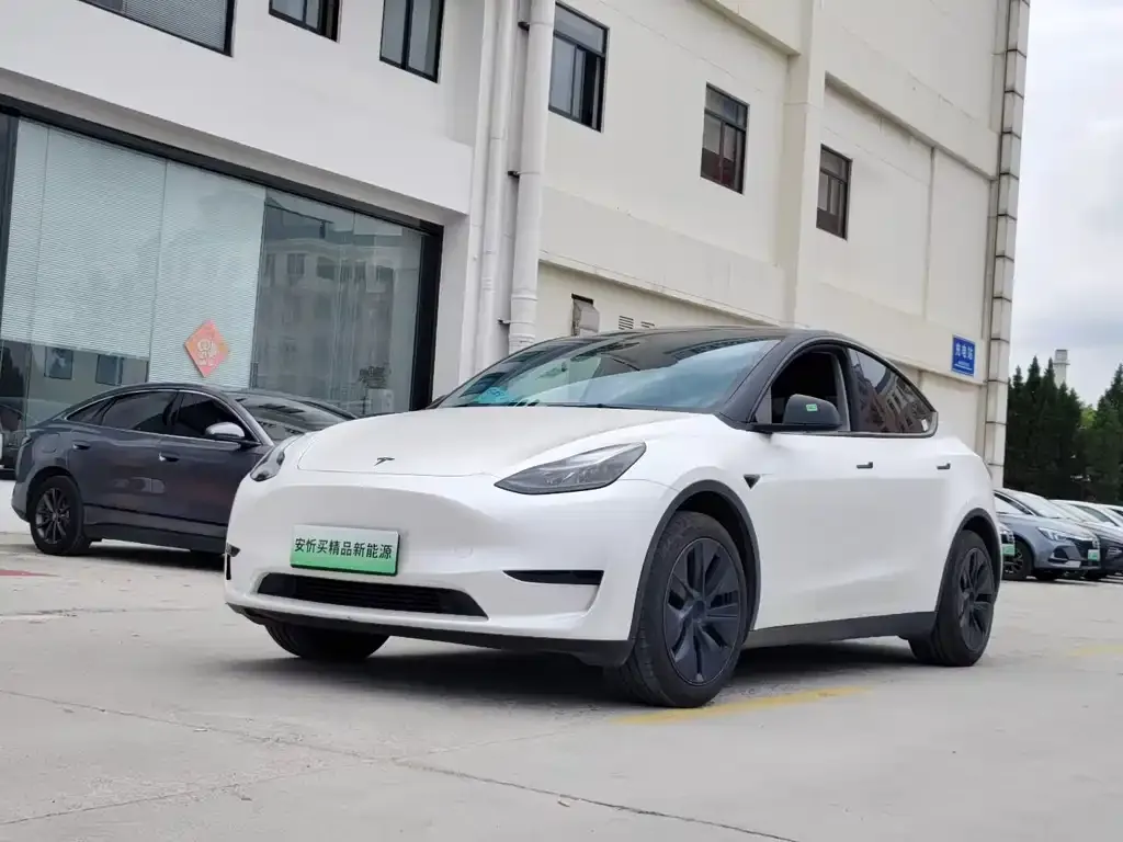 Tesla Model Y — фото 1