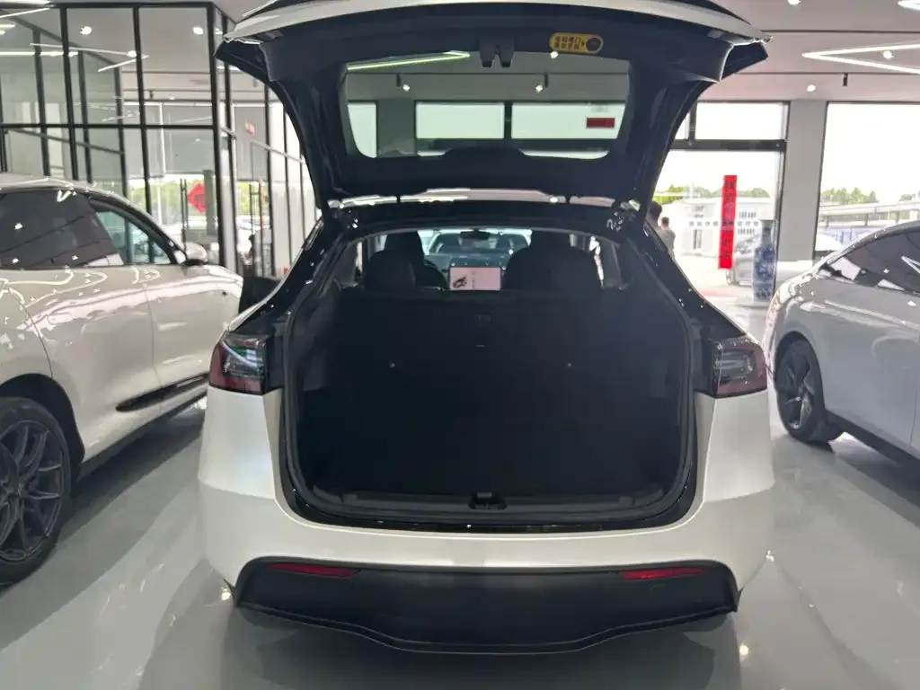 Tesla Model Y — фото 5