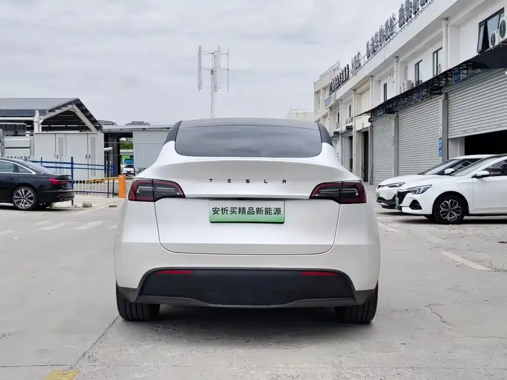 Tesla Model Y — фото 2