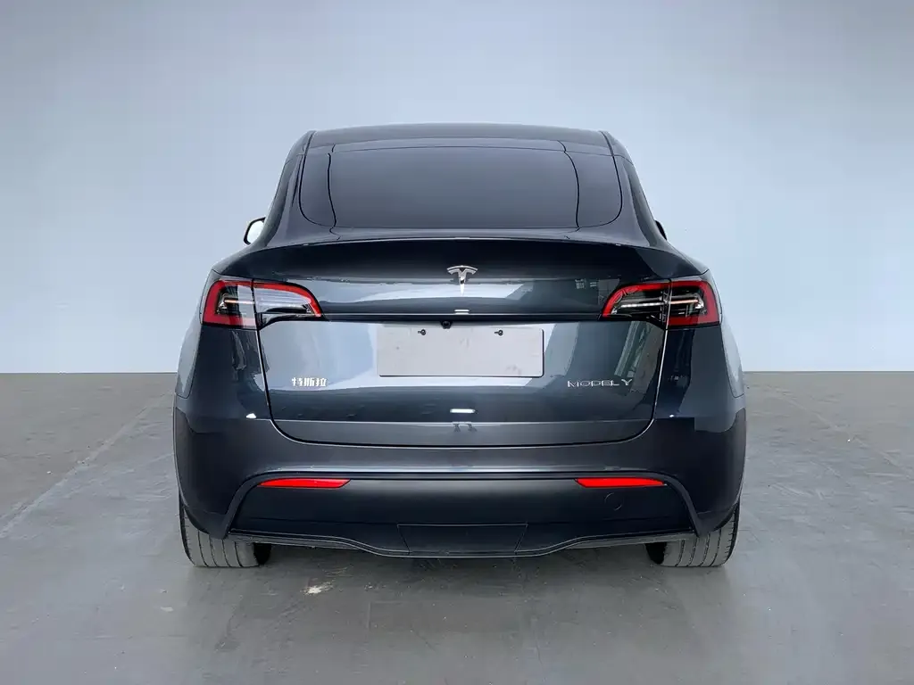 Tesla Model Y — фото 5