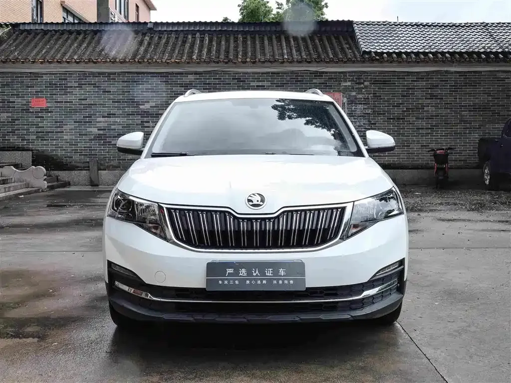 Skoda Kamiq 2024 из CN, фото 8