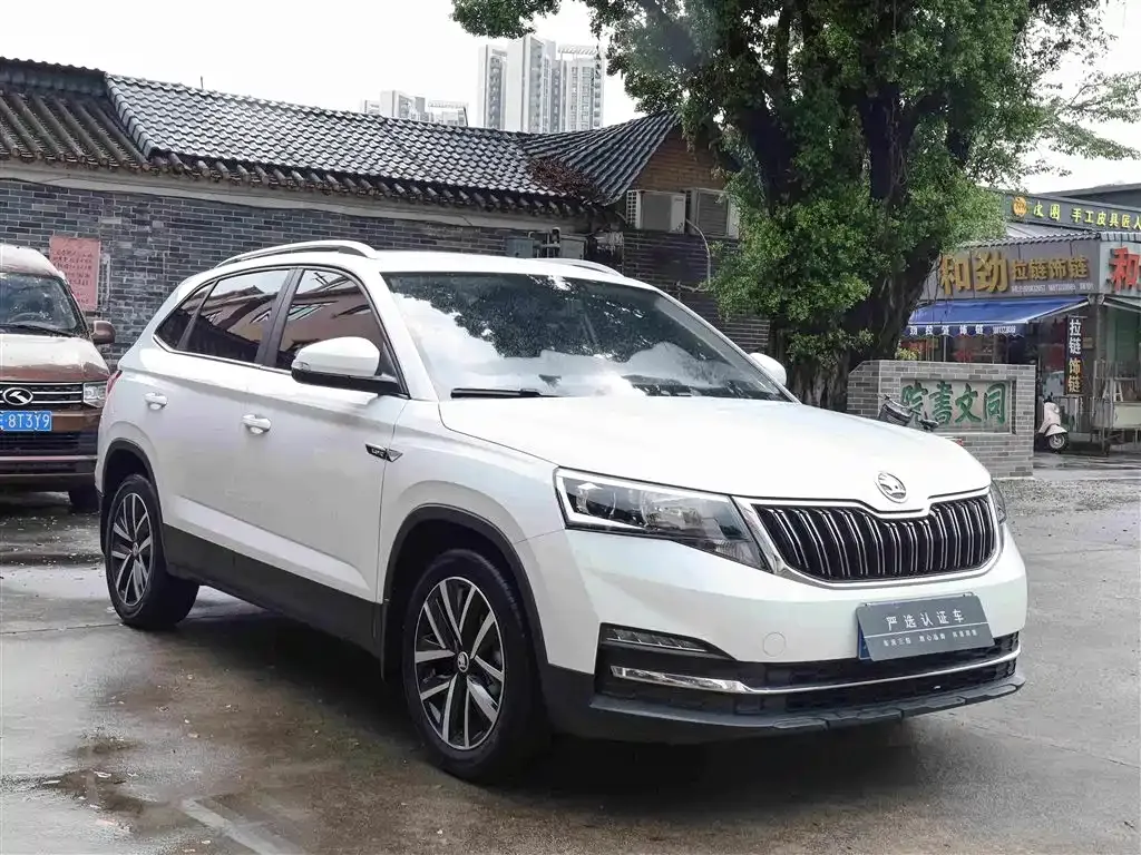Skoda Kamiq 2024 из CN, фото 9