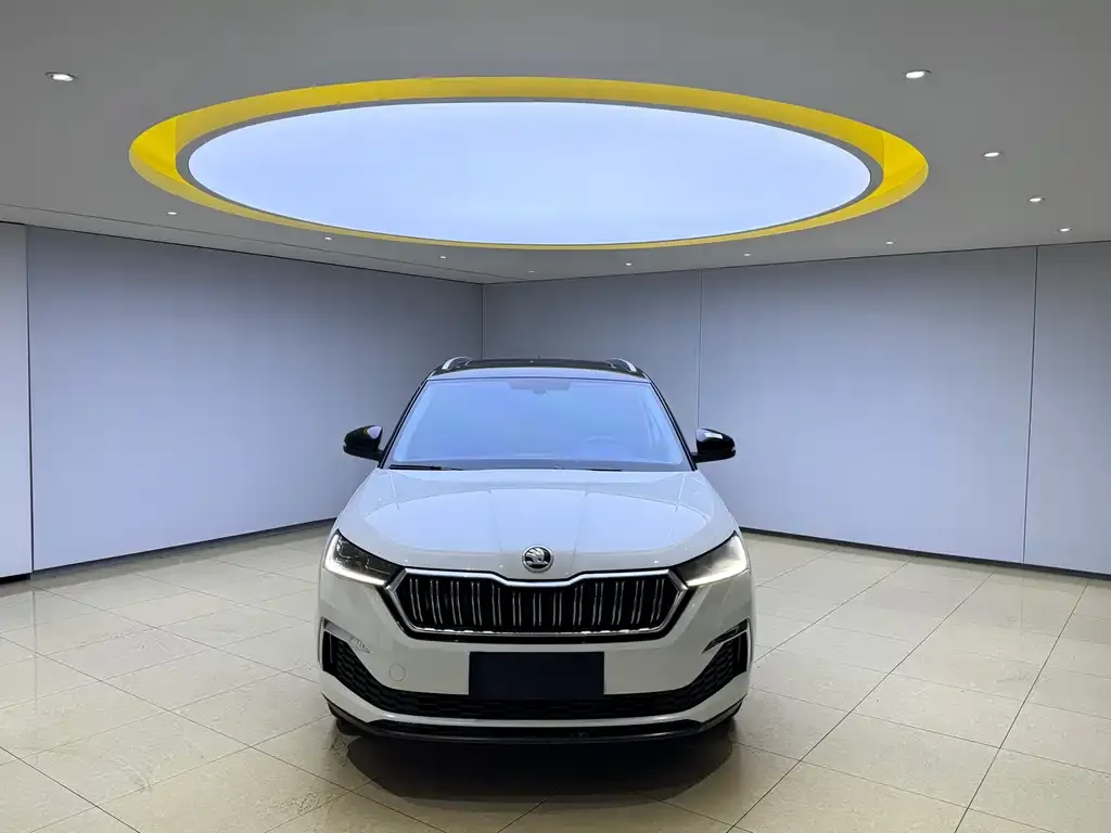 Skoda Kamiq — фото 3