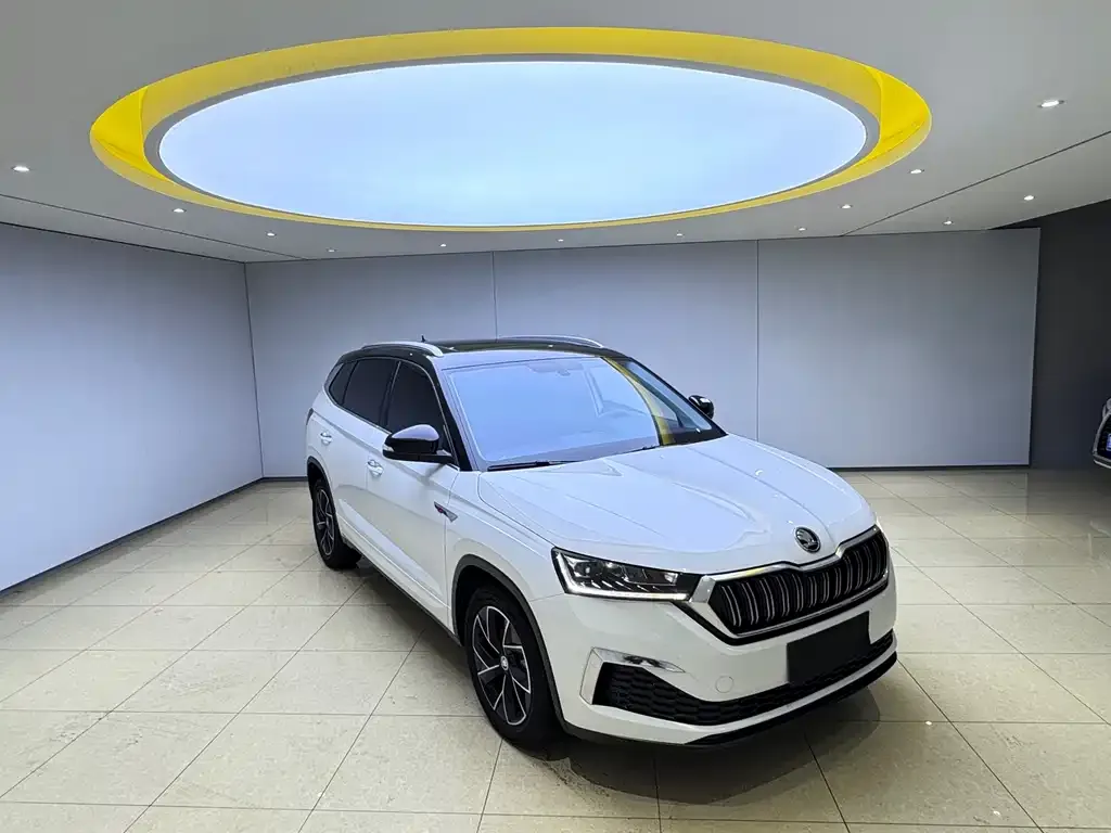 Skoda Kamiq — фото 9