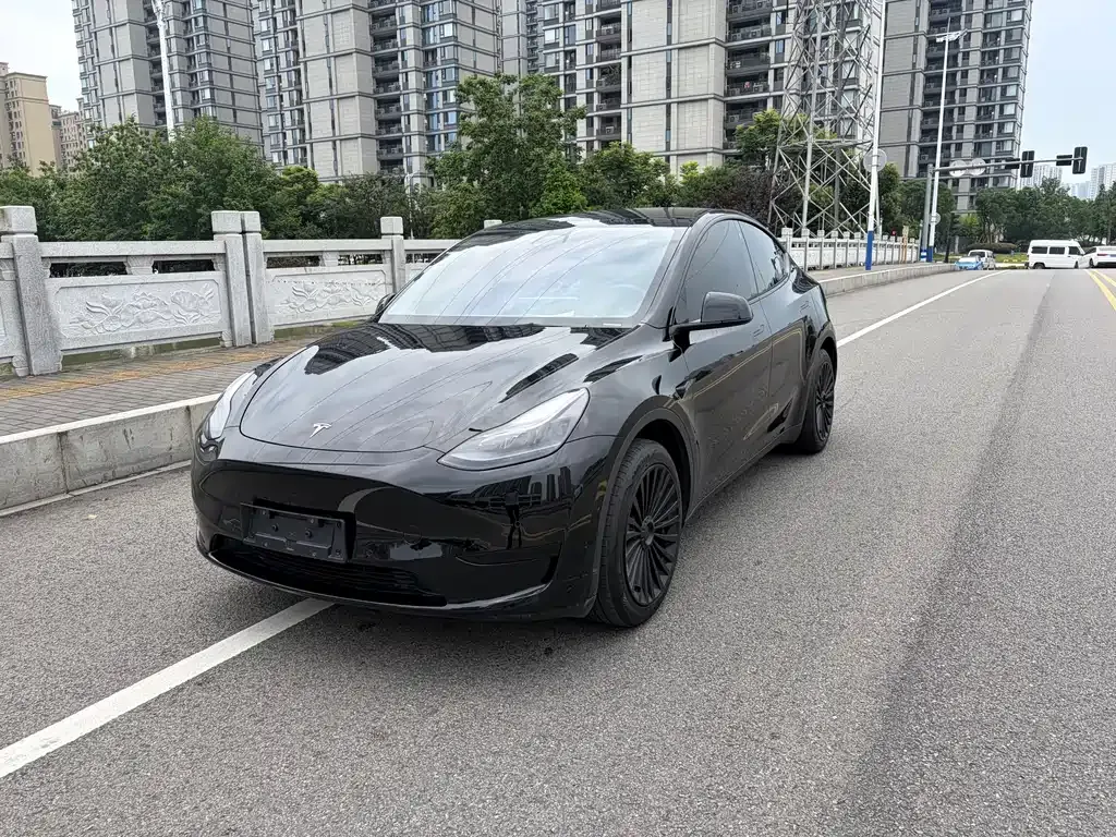 Tesla Model Y — фото 1